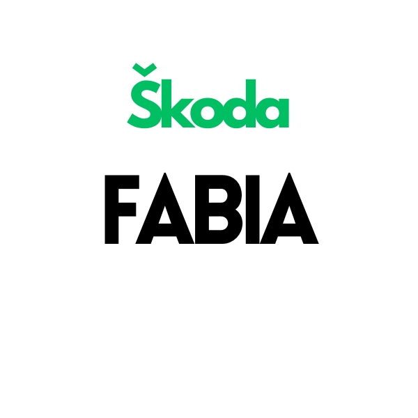 Škoda Fabia Reversing Camera Retrofit 