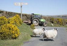 Rural Roads: The Dangers